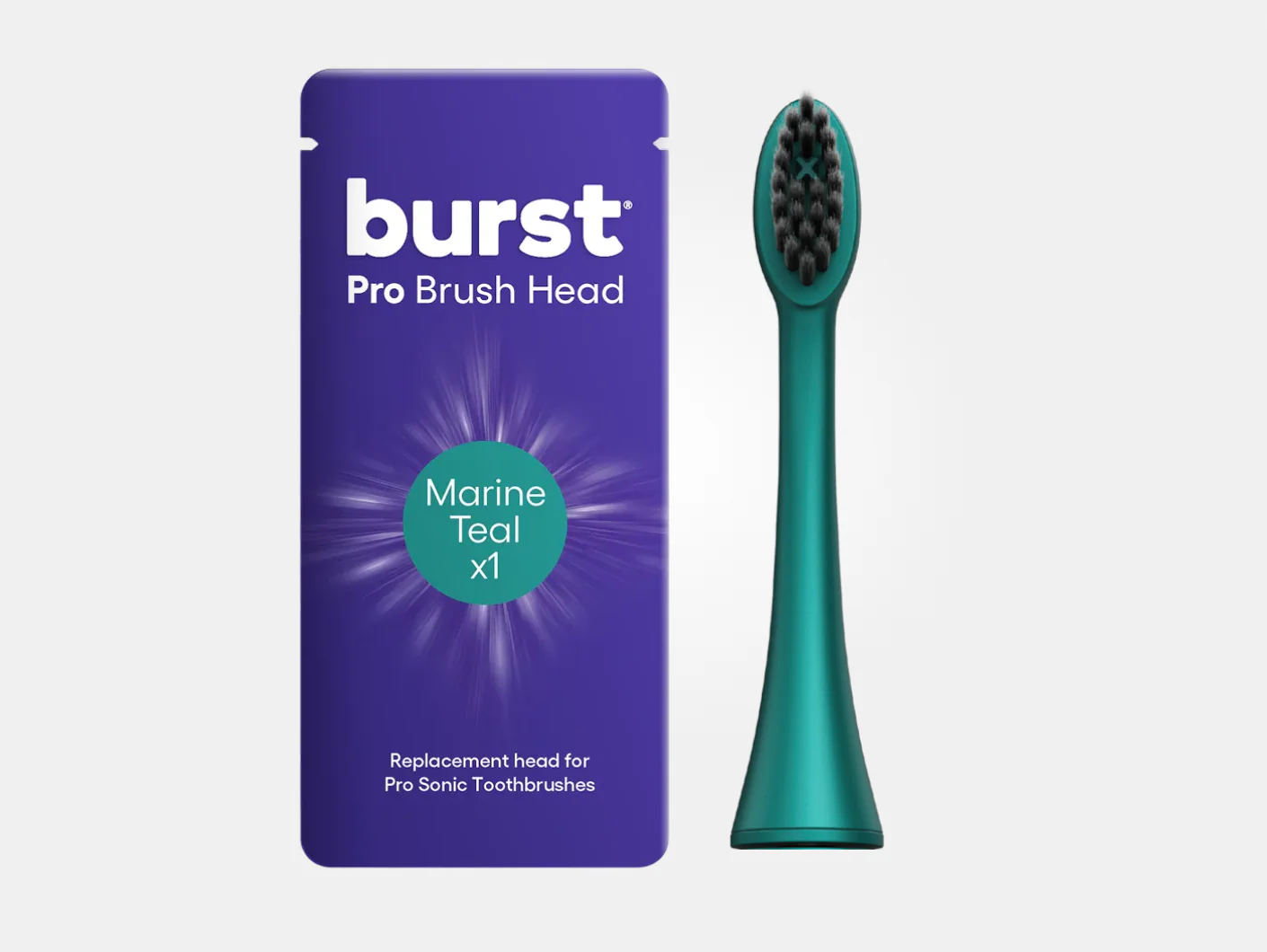 Pro Brush Replacement Head - Image 19